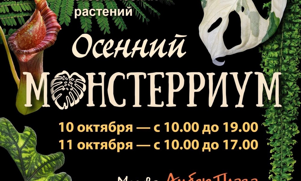 Монстериум осень 26