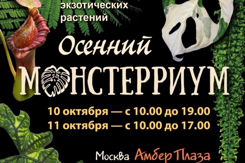Монстериум осень 26